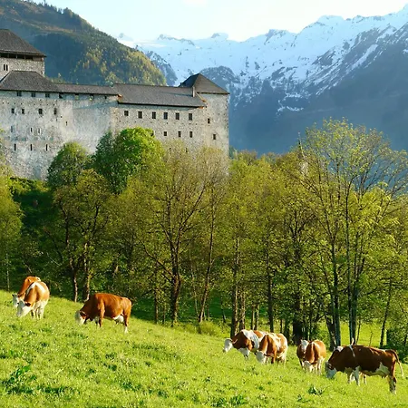 Simone's Platzerl - Inklusive Taeglichem Freien Eintritt Tauern - Nur 5 Gehminuten, Sommerkarte, Privatem Garten Mit Schwimmteich, Grill Und Saunabereich Pensionat Kaprun